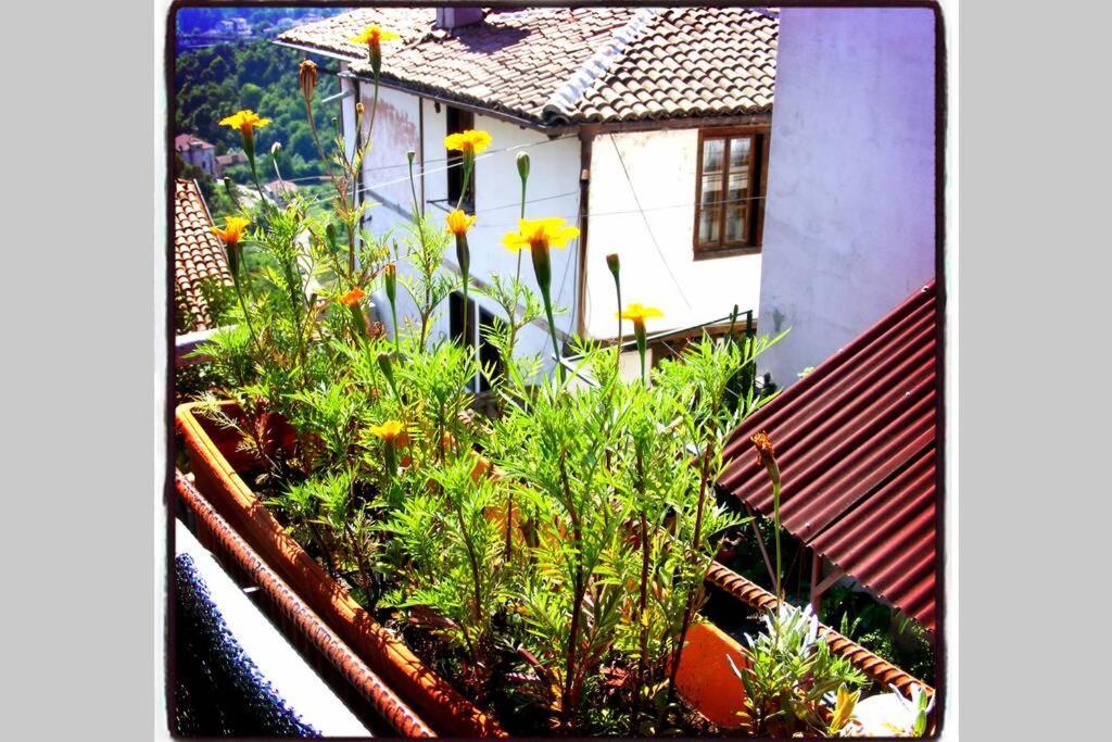 Authentic Guest Stay In The Heart Of Veliko Tarnovo Студио С Изглед Към Царевец Bagian luar foto