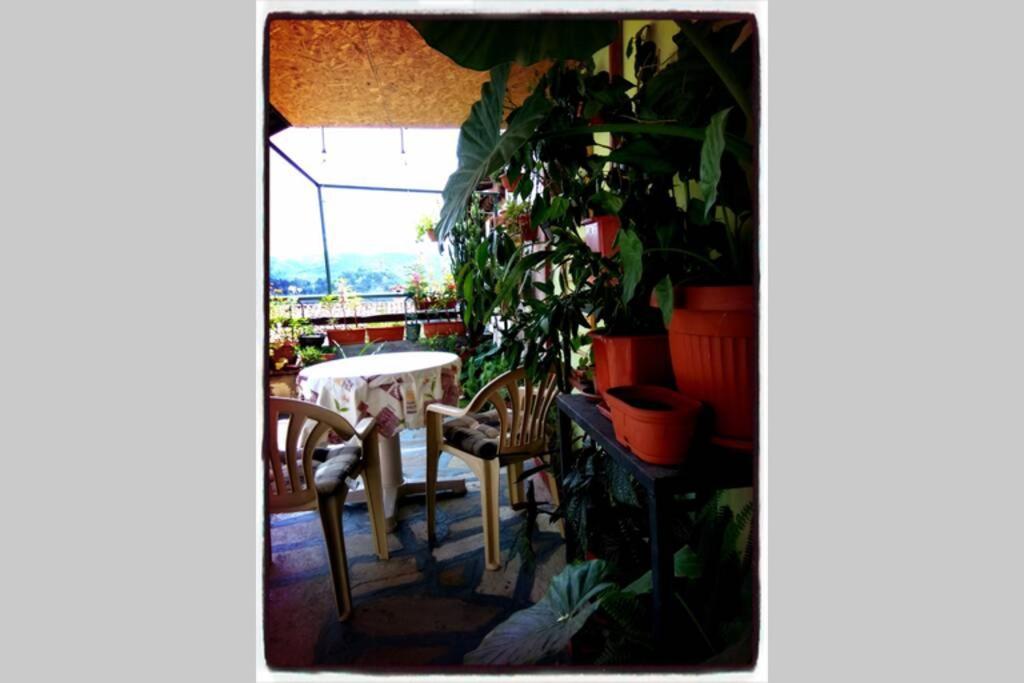 Authentic Guest Stay In The Heart Of Veliko Tarnovo Студио С Изглед Към Царевец Bagian luar foto