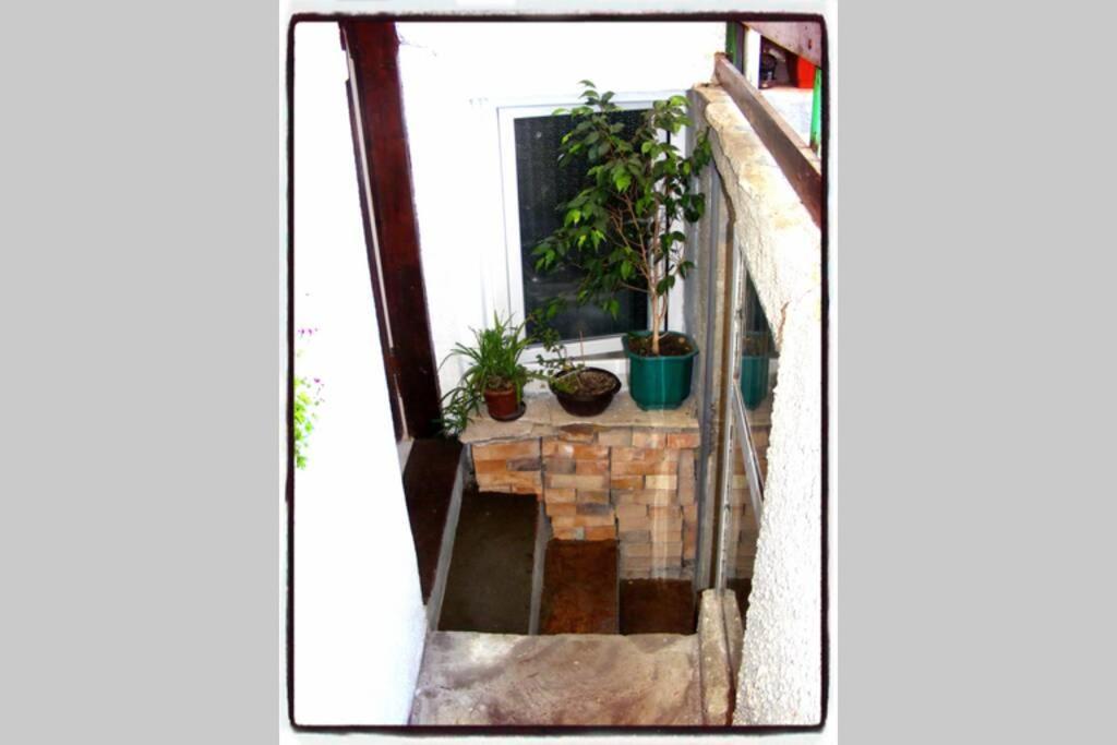 Authentic Guest Stay In The Heart Of Veliko Tarnovo Студио С Изглед Към Царевец Bagian luar foto